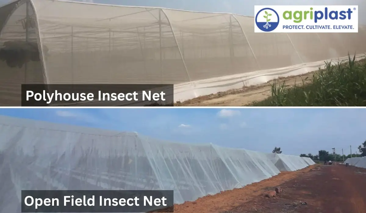 Agriplast insect net installed on polyhouse sidewalls (top) and open field net tunnel over crop rows (bottom)